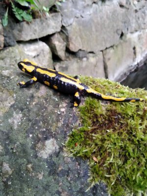 IMG_20210515_202105.jpg IMG_20210515_202105.jpg