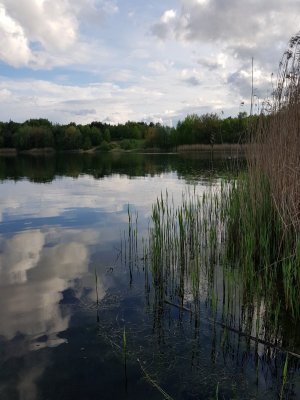 20210515_185744.jpg 20210515_185744.jpg