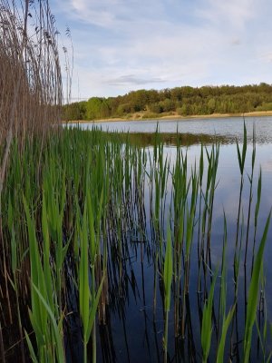 20210515_191646.jpg 20210515_191646.jpg