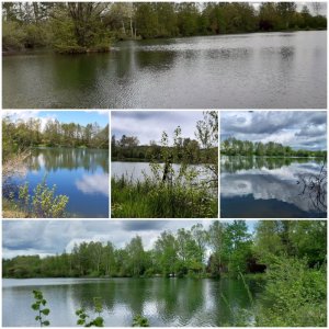 20210516_163501.jpg 20210516_163501.jpg