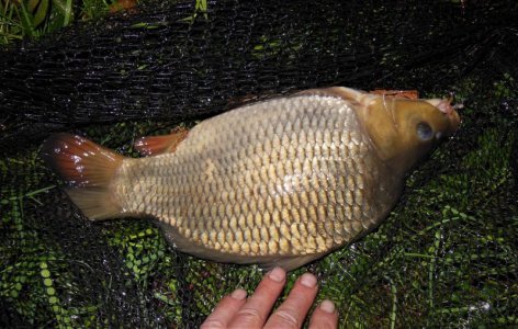 DSCN7951.JPG DSCN7951.JPG