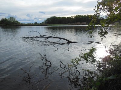 DSCN7969.JPG DSCN7969.JPG