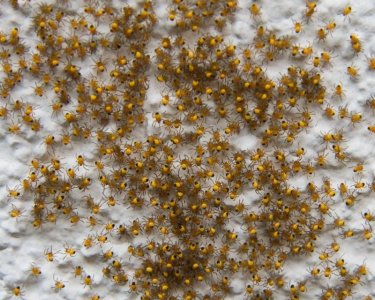 P1010043b.jpg P1010043b.jpg