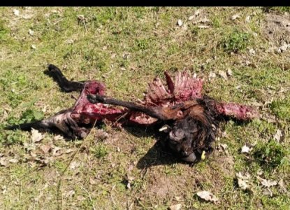 20210526_225254.jpg 20210526_225254.jpg