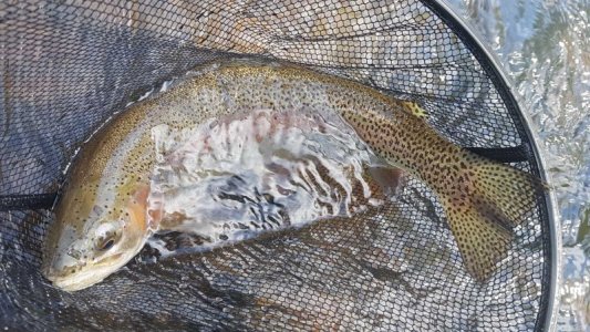 Ü50 -20210524_104639_2.jpg