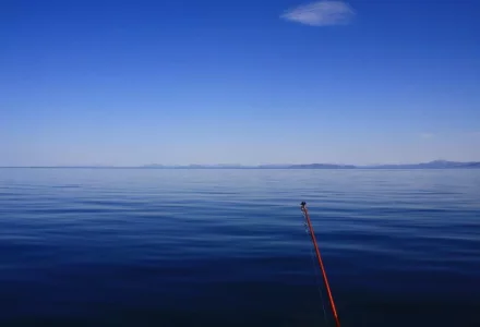 image.webp image.webp