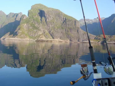 P7090037.webp P7090037.webp