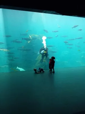 20140606_154457.webp 20140606_154457.webp