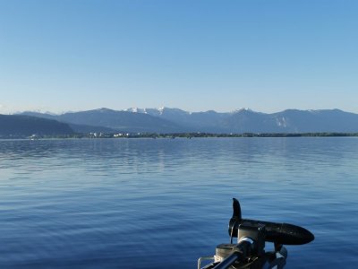 IMG_20210530_063930.jpg IMG_20210530_063930.jpg