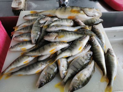 IMG_20210529_114257.jpg IMG_20210529_114257.jpg