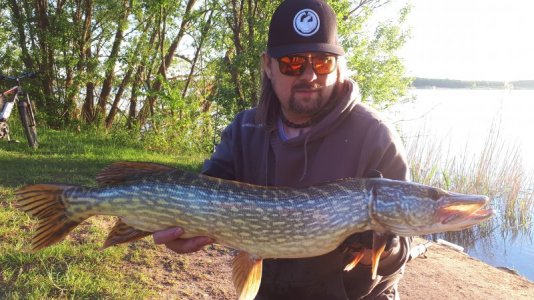 20210601_203050.jpg 20210601_203050.jpg