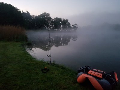 20210530_042412.jpg 20210530_042412.jpg