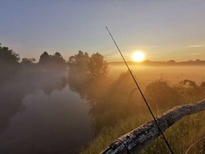 IMG-20210606-WA0000.jpg IMG-20210606-WA0000.jpg