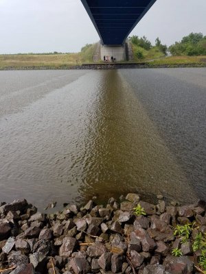 IMG-20210605-WA0006.jpg IMG-20210605-WA0006.jpg