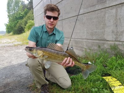 IMG-20210605-WA0004.jpg IMG-20210605-WA0004.jpg