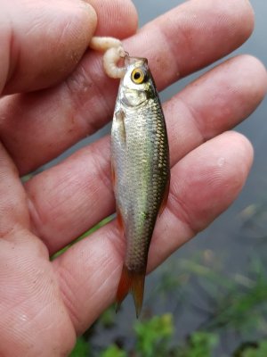 20210605_203123.jpg 20210605_203123.jpg