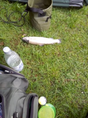 IMG-20210606-WA0000.jpeg IMG-20210606-WA0000.jpeg