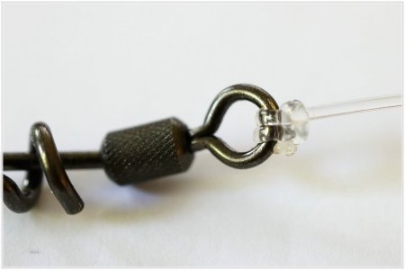 AK0A2998.comp.jpg AK0A2998.comp.jpg