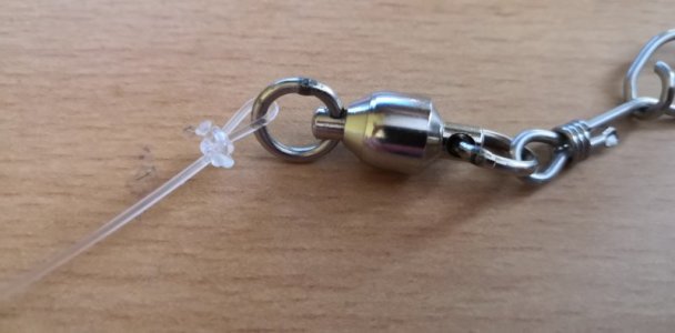 IMG_20210607_160803.jpg IMG_20210607_160803.jpg