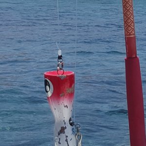 20210607_180608.jpg 20210607_180608.jpg