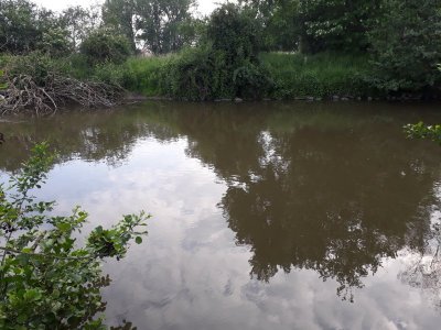 20210607_191854.jpg 20210607_191854.jpg