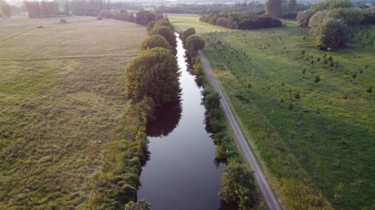 IMG-20210607-WA0022.jpg IMG-20210607-WA0022.jpg