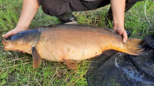 20210608_070605 (1).jpg 20210608_070605 (1).jpg