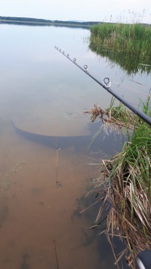 20210608_194447.jpg 20210608_194447.jpg