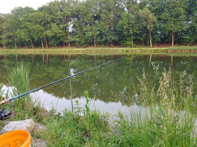 20210608_210307.jpg 20210608_210307.jpg