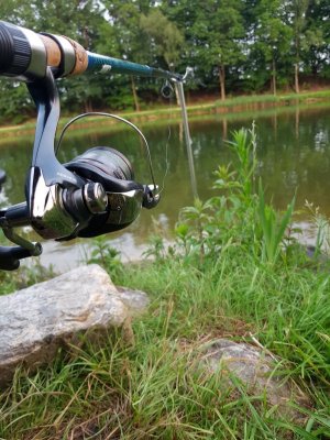 20210608_211639.jpg 20210608_211639.jpg