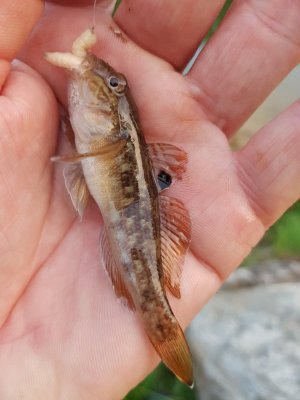 20210608_210347.jpg 20210608_210347.jpg