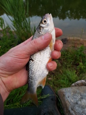 20210608_212559.jpg 20210608_212559.jpg