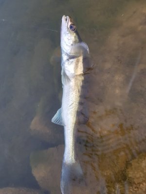 20210608_214939.jpg 20210608_214939.jpg