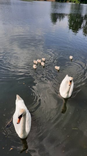 20210611_161226.jpg 20210611_161226.jpg