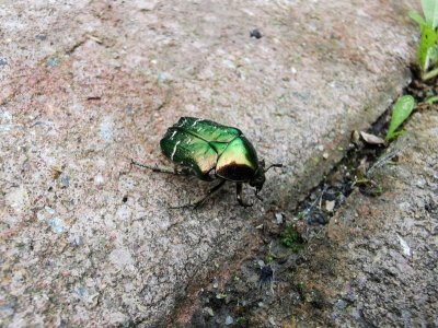 IMG_20210529_152312.jpg IMG_20210529_152312.jpg