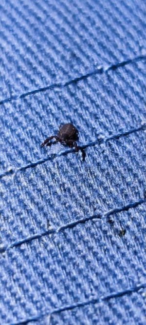 IMG-20210607-WA0000.jpg IMG-20210607-WA0000.jpg