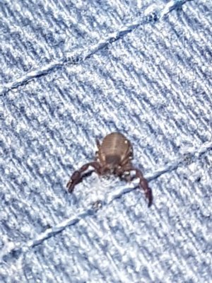 20210607_002537(0).jpg 20210607_002537(0).jpg