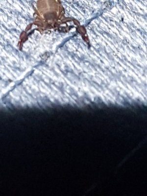 20210607_002518.jpg 20210607_002518.jpg