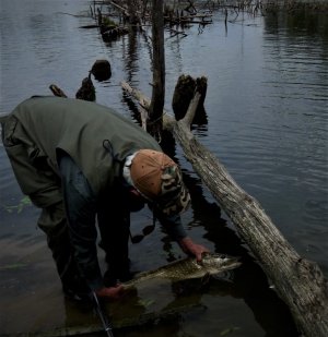 DSCN8095.JPG DSCN8095.JPG