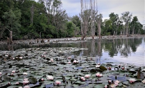 20210612_140344.jpg 20210612_140344.jpg