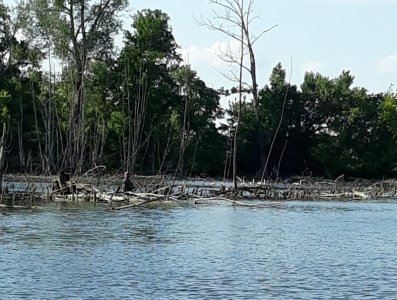 20210612_181127.jpg 20210612_181127.jpg