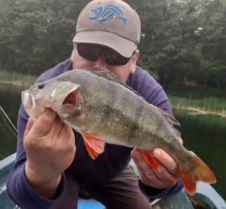 20210613_133946.jpg 20210613_133946.jpg