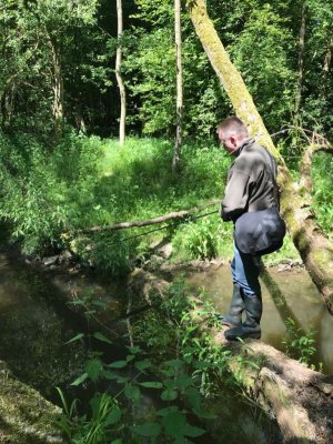 IMG-20210613-WA0005.jpg IMG-20210613-WA0005.jpg