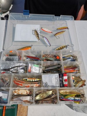 IMG_20210613_160647.jpg IMG_20210613_160647.jpg