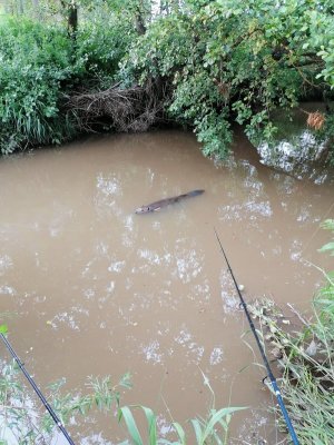 IMG_20210610_201822.jpg IMG_20210610_201822.jpg