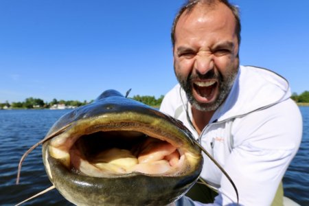 32737F05-8A72-4774-BE40-C0EA053FCA92_1_201_a.jpeg 32737F05-8A72-4774-BE40-C0EA053FCA92_1_201_a.jpeg