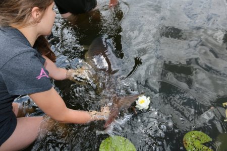 C17A90B7-6FC6-4C25-8629-C369B1155F6C.jpeg C17A90B7-6FC6-4C25-8629-C369B1155F6C.jpeg