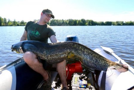 7B9F8B97-33B0-40EB-9F37-51D0EACD9281.jpeg 7B9F8B97-33B0-40EB-9F37-51D0EACD9281.jpeg