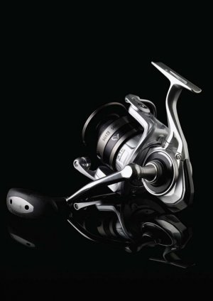 Rolle1.jpg Rolle1.jpg