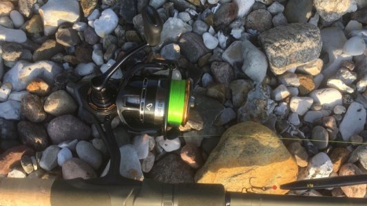 SG-Test.jpg SG-Test.jpg